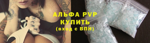 гидра Алексин